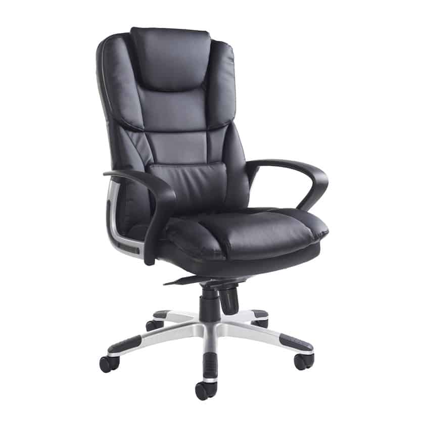 Sandro mesh back store executive chair